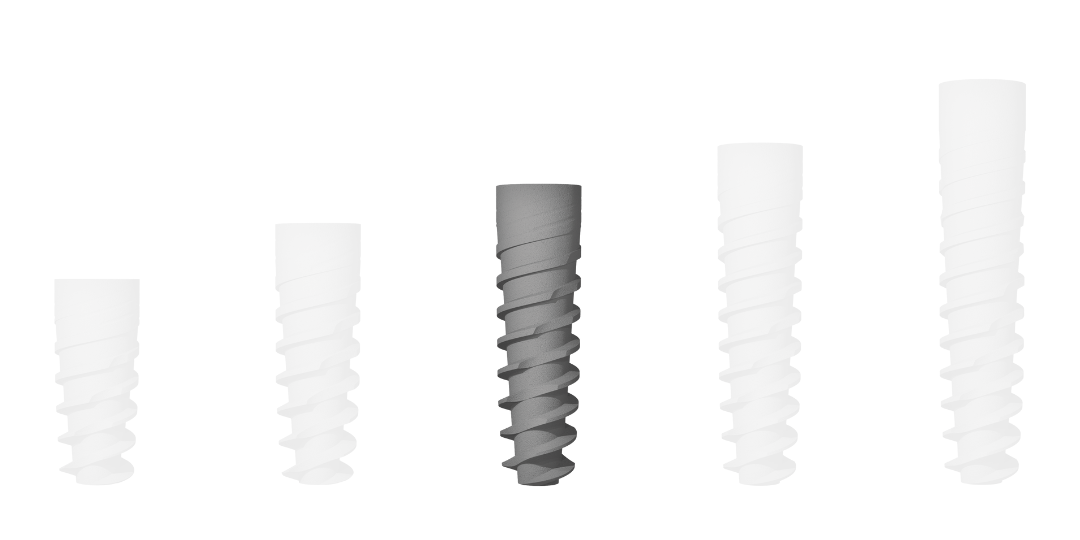 Implante Evolution S