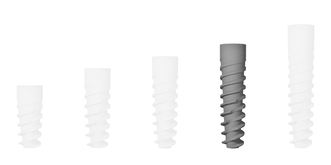 Implante Evolution S