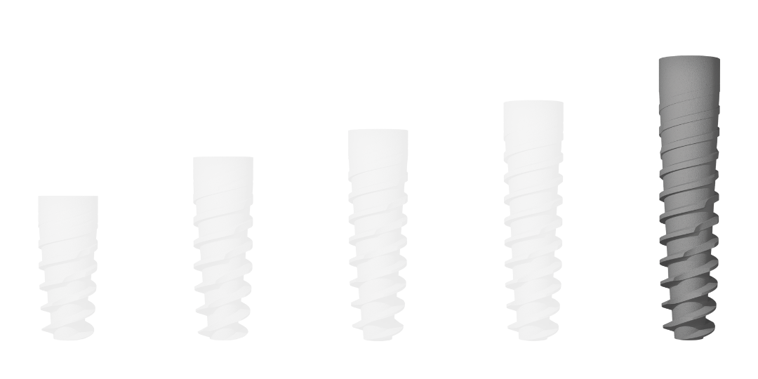 Implante Evolution S